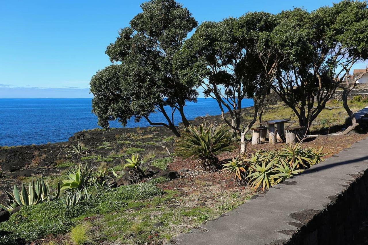 Casa D'Avo Francisco Vendégház Madalena  Kültér fotó
