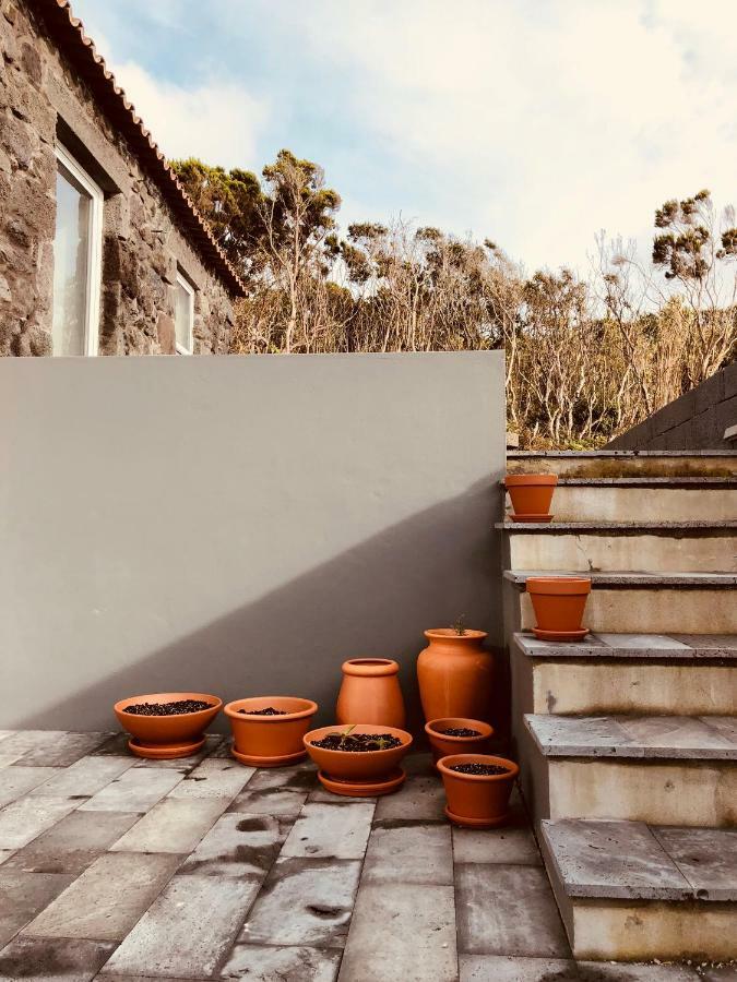 Casa D'Avo Francisco Vendégház Madalena  Kültér fotó